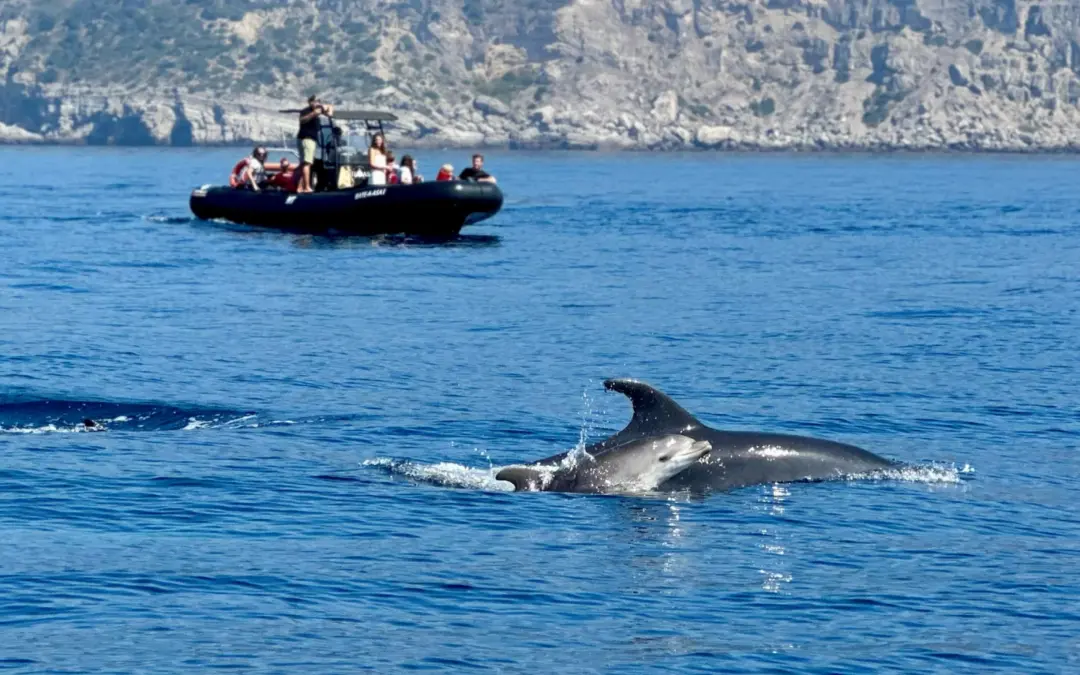 Descobrir Sesimbra: Tesouros Subaquáticos e Cenários de Sonho
